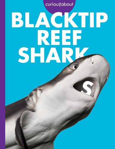 Cover image for Curious about Blacktip Reef Sharks