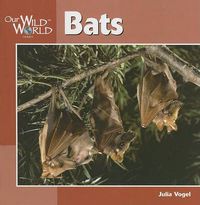 Cover image for Bats