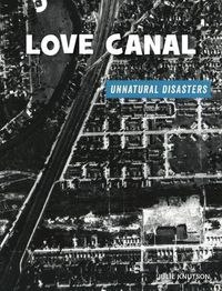 Cover image for Love Canal