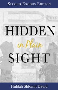 Cover image for Hidden in Plain Sight: The Revelation of the Son's of Yah in America