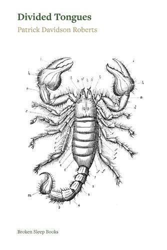 Cover image for Divided Tongues