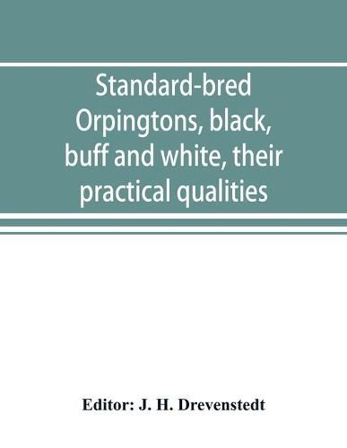 Cover image for Standard-bred Orpingtons, black, buff and white, their practical qualities; the standard requirements; how to judge them; how to mate and breed for best results, with a chapter on new non-standard varieties