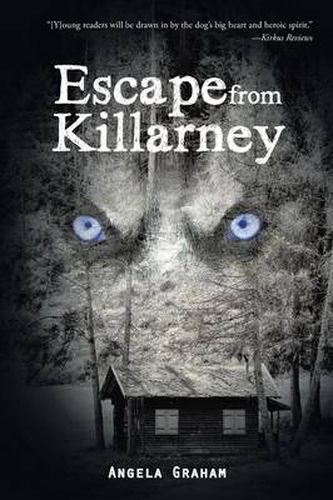 Cover image for Escape from Killarney