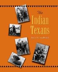 Cover image for The Indian Texans