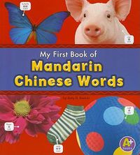 Cover image for My First Book of Mandarin Chinese Words