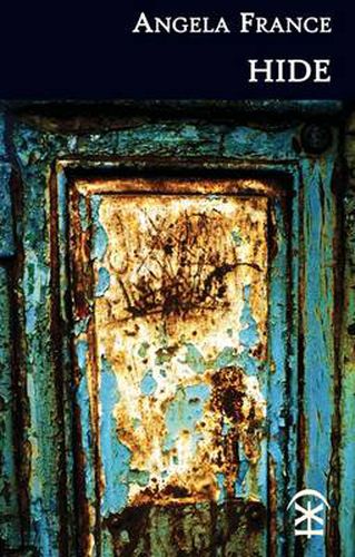 Cover image for Hide