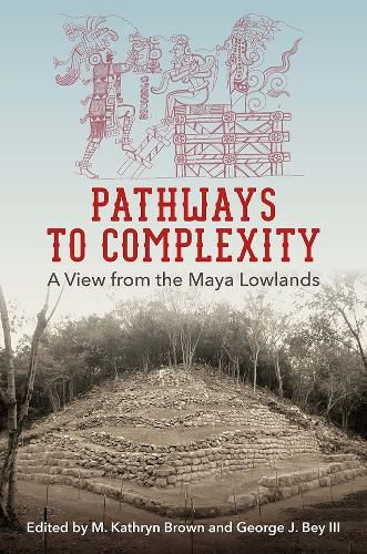 Cover image for Pathways to Complexity: A View from the Maya Lowlands