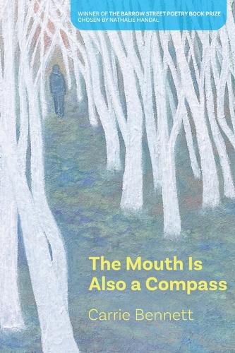 Cover image for The Mouth Is Also a Compass