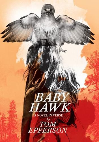 Cover image for Baby Hawk: A Novel in Verse