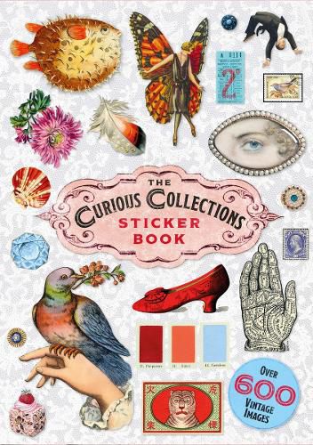 Cover image for The Curious Collections Sticker Book