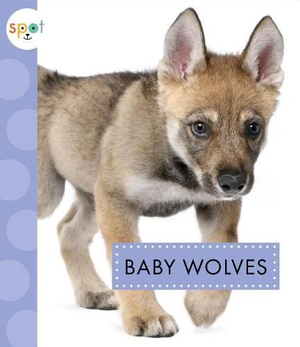 Cover image for Baby Wolves