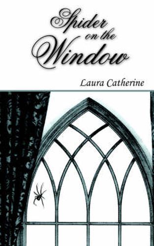 Cover image for Spider on the Window