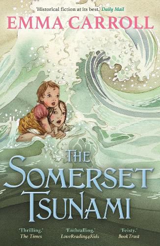 Cover image for The Somerset Tsunami