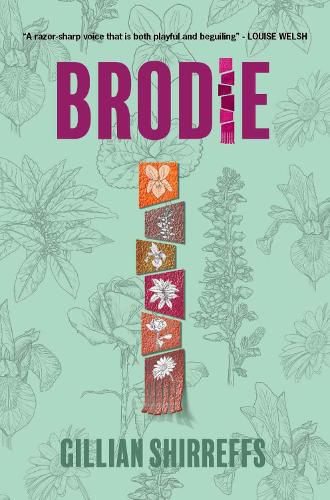 Cover image for Brodie