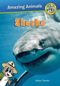 Cover image for Sharks