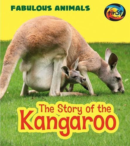 Cover image for Story of the Kangaroo