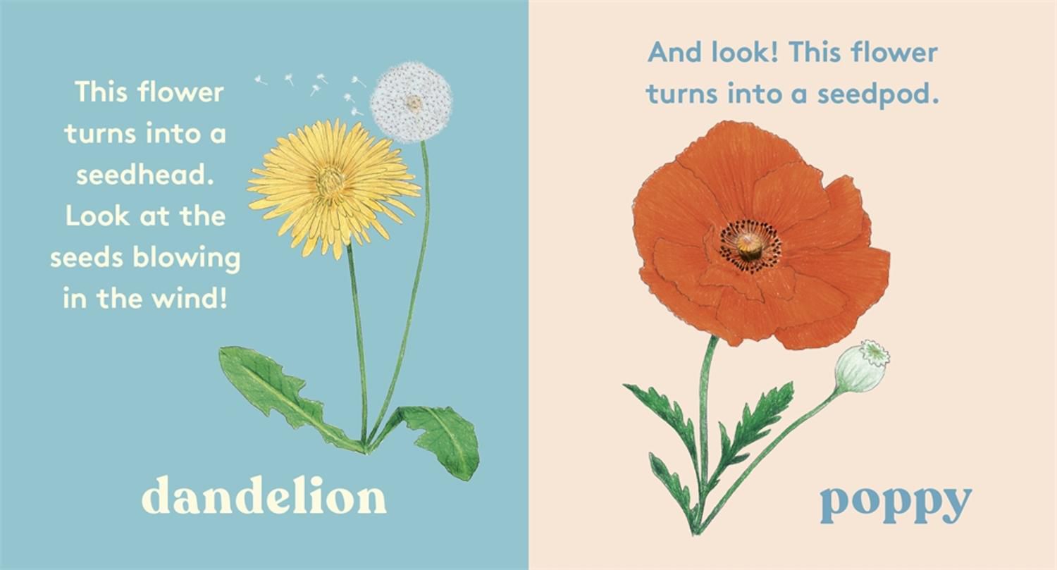 Look! A Flower!