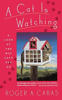 Cover image for A Cat is Watching: A Look at the Way Cats See Us