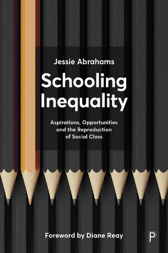 Cover image for Schooling Inequality