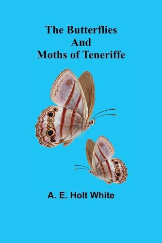 Cover image for The Butterflies and Moths of Teneriffe