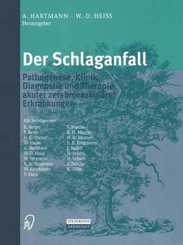 Cover image for Der Schlaganfall: Pathogenese, Klinik, Diagnostik Und Therapie Akuter Zerebrovaskularer Erkrankungen