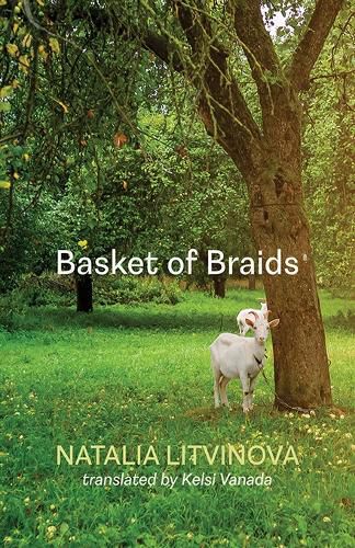 Cover image for Basket of Braids