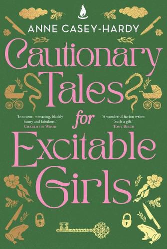 Cover image for Cautionary Tales for Excitable Girls