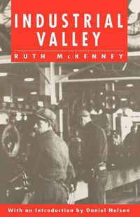 Cover image for Industrial Valley