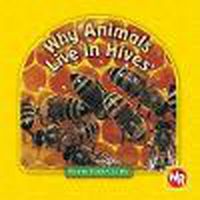 Cover image for Why Animals Live in Hives