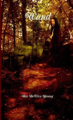 Cover image for Wand