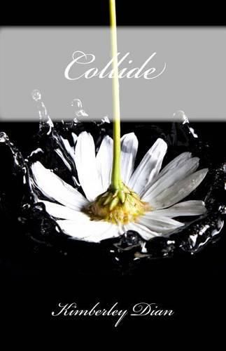 Cover image for Collide