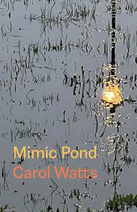 Cover image for Mimic Pond