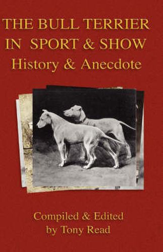 Cover image for The Bull Terrier in Sport And Show - History & Anecdote