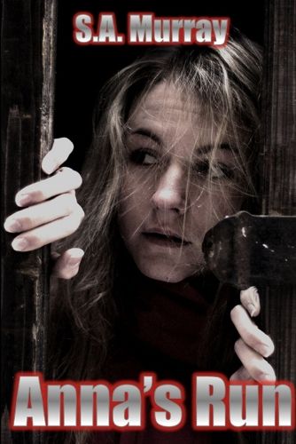 Cover image for Anna's Run