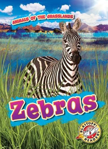 Zebras