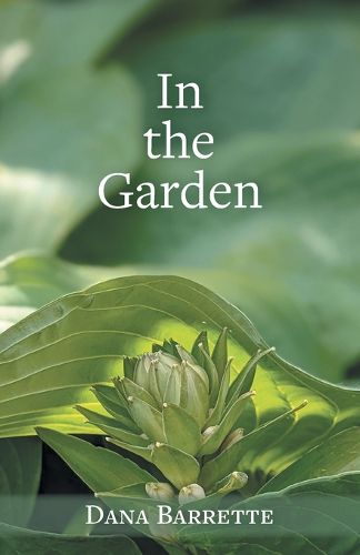 Cover image for In the Garden