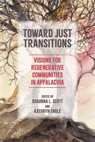 Cover image for Toward Just Transitions