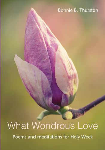 Cover image for What Wondrous Love