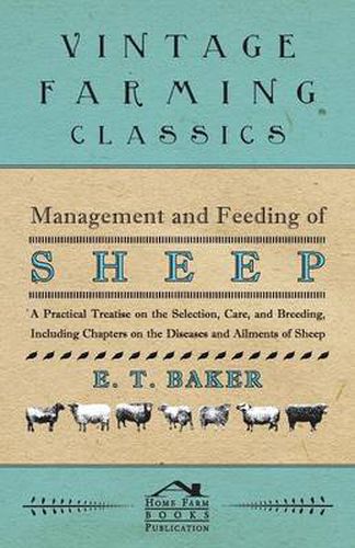 Cover image for Management and Feeding of Sheep - A Practical Treatise on the Selection, Care, And Breeding, Including Chapters on the Diseases and Ailments of Sheep