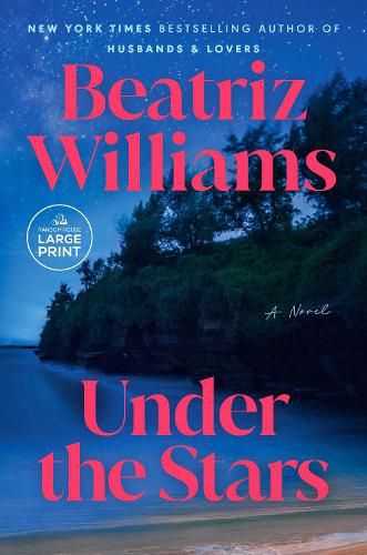Cover image for Under the Stars