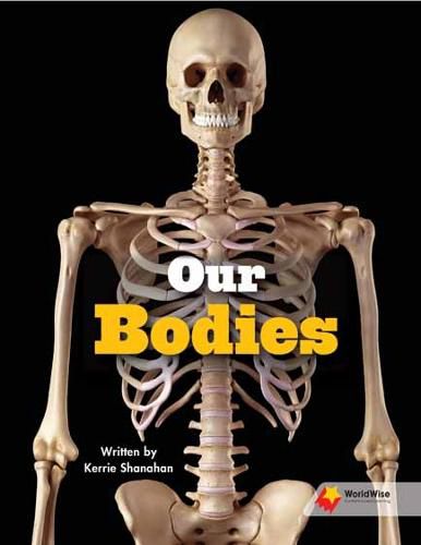 Cover image for Our Bodies