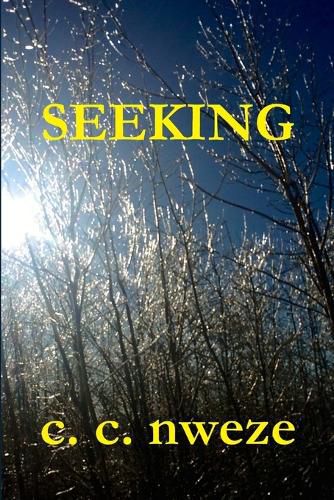 Cover image for Seeking