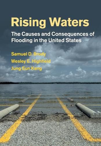 Cover image for Rising Waters: The Causes and Consequences of Flooding in the United States