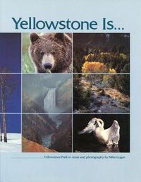 Cover image for Yellowstone is....