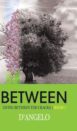 Cover image for Between