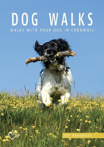Cover image for Dog Walks in Cornwall