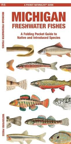 Cover image for Michigan Freshwater Fishes