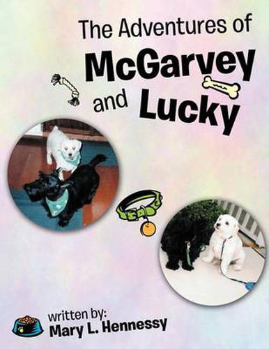 Cover image for The Adventures of McGarvey and Lucky