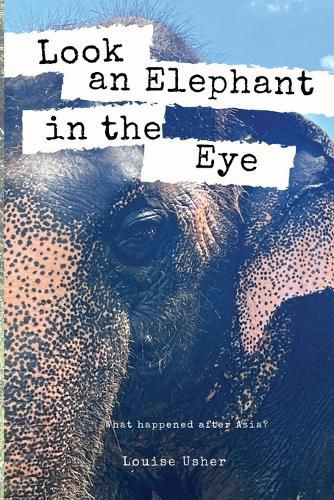 Look an Elephant in the Eye