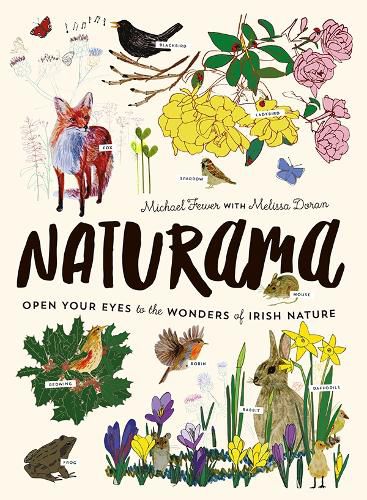 Cover image for Naturama: Open Your Eyes to the Wonders of Irish Nature